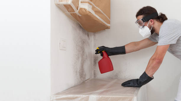 Professional Attic Mold Remediation technician working in Miller Place, NY